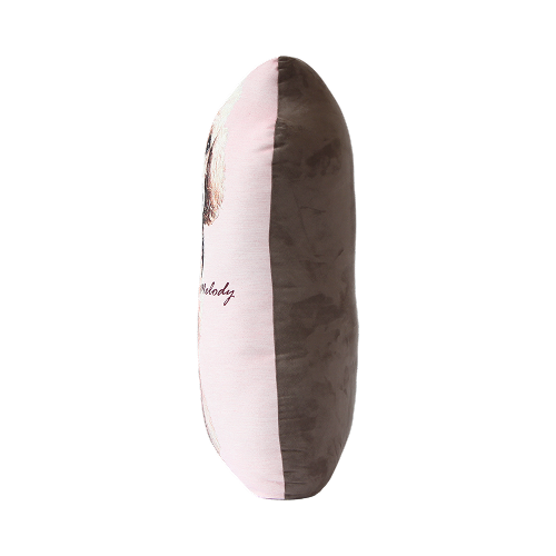 hp6-13