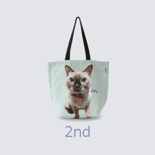ec-bag